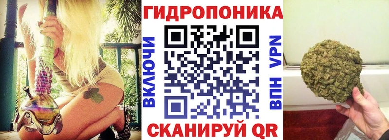Конопля гибрид  наркота  Псков 